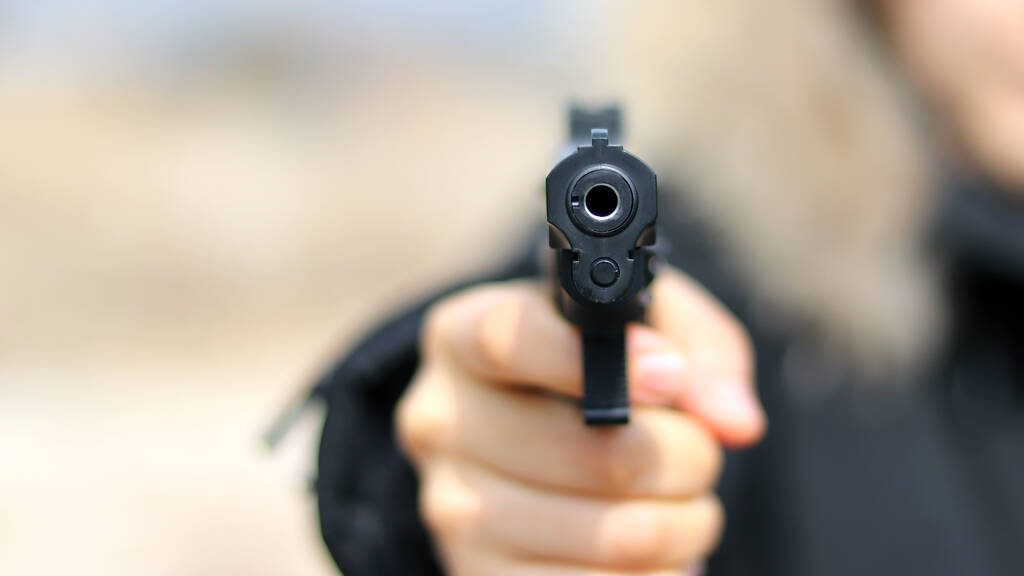 School Shootings on the Rise