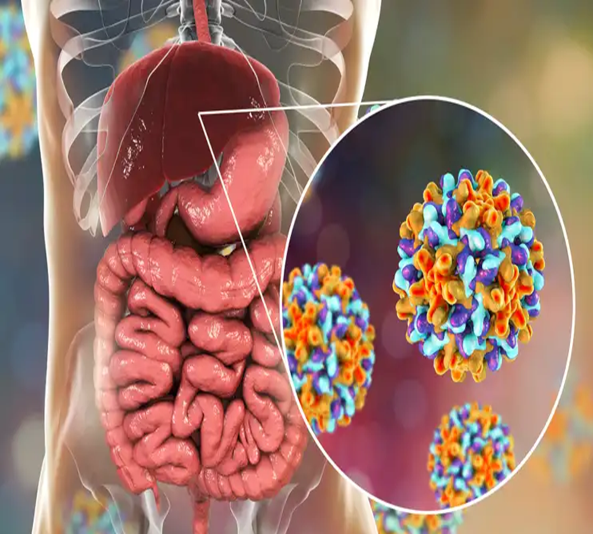 Unveiling the Culprits: The Big 6 Foodborne Pathogens and How to Stay Safe