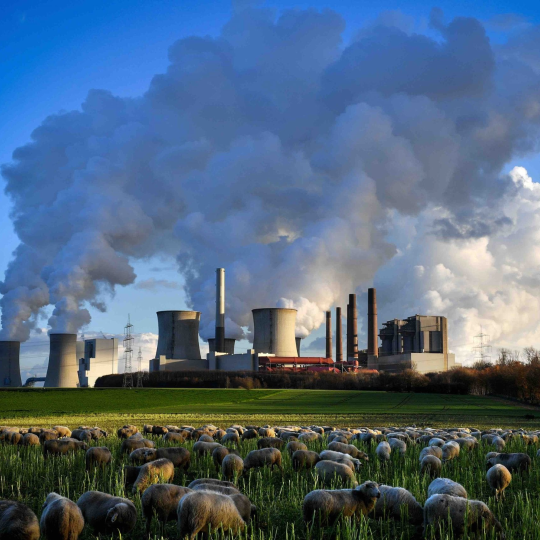 California Takes Lead in Combatting Carbon Emissions with New Building Code Measures