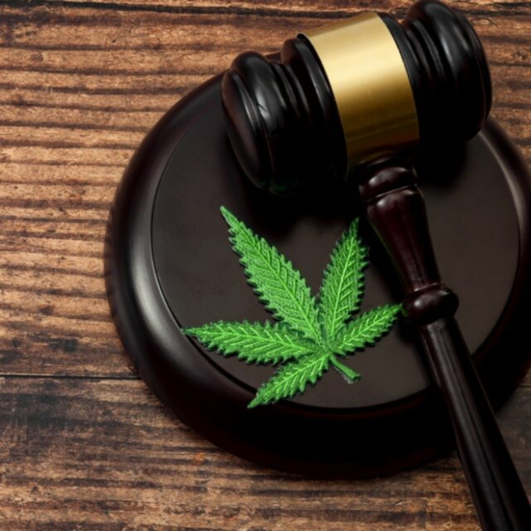 New California Laws Protect Workers' Cannabis Rights