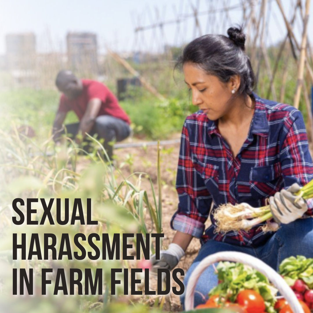 Tres Hijas Berry Farms Settles Sexual Harassment Lawsuit for $200,000