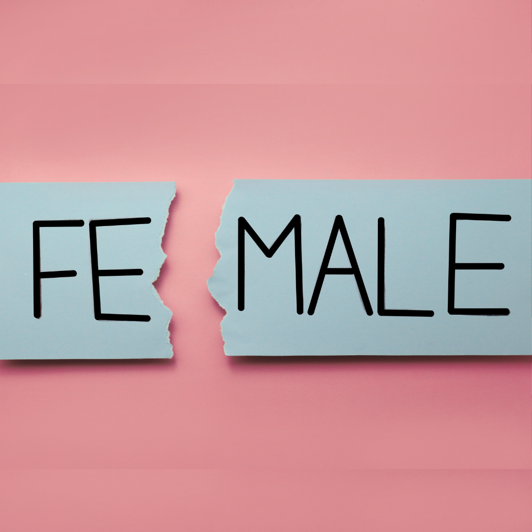 EEOC Sues Glunt Industries and Merit Capital Partners for Classwide Sex Discrimination