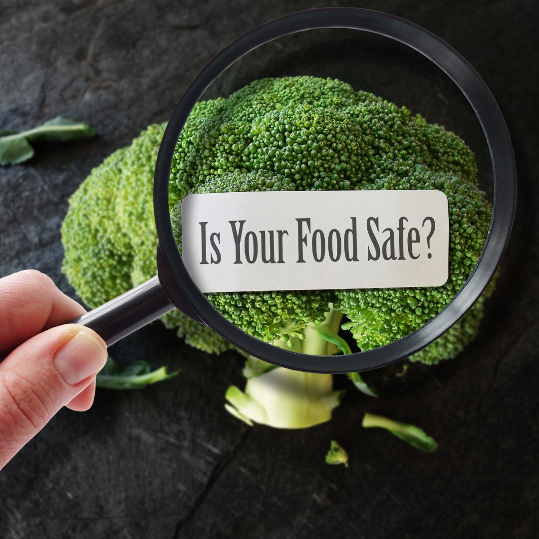 Food Handler Permit vs. Certified Food Safety Manager