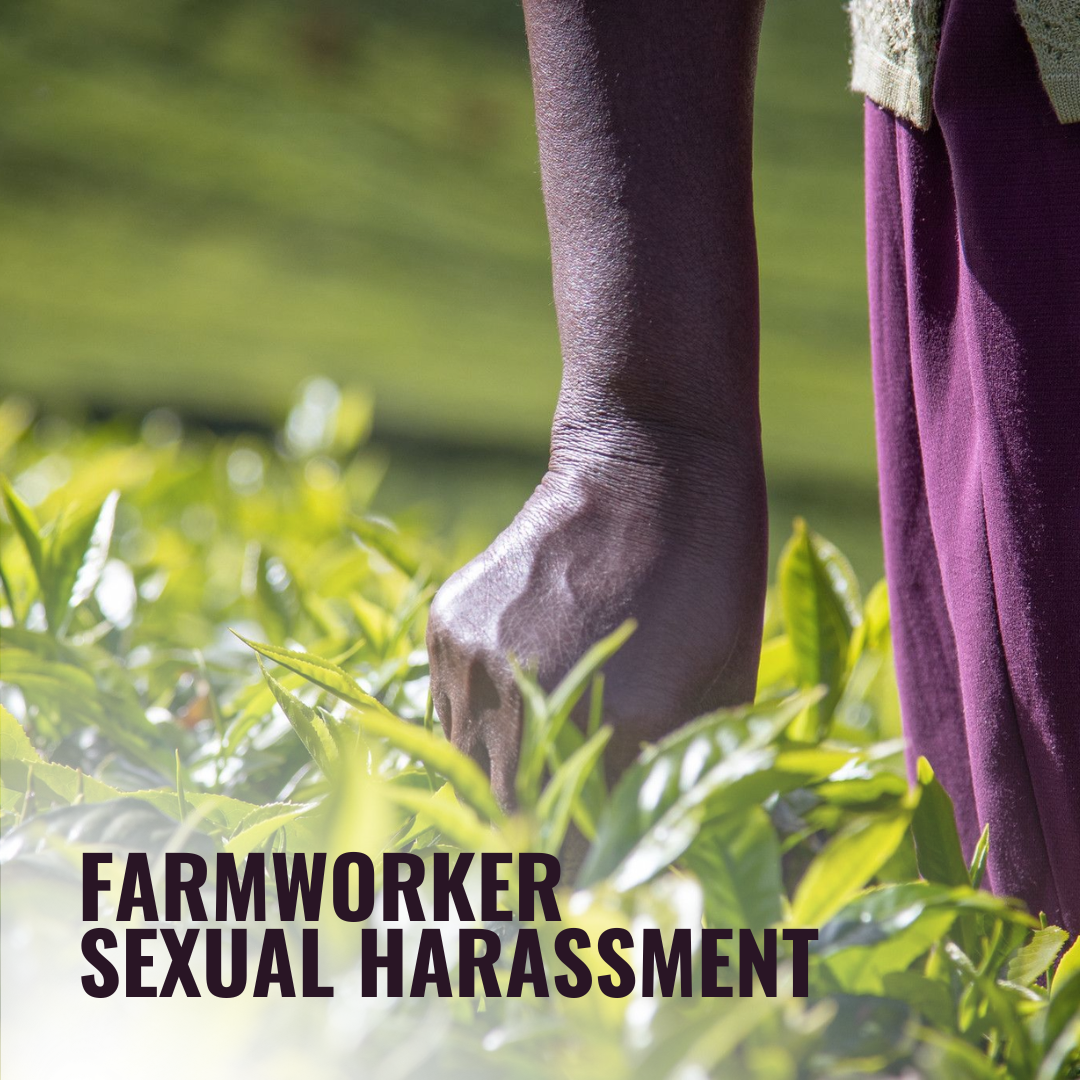 Tres Hijas Berry Farms Settles EEOC Sexual Harassment Lawsuit for $200,000
