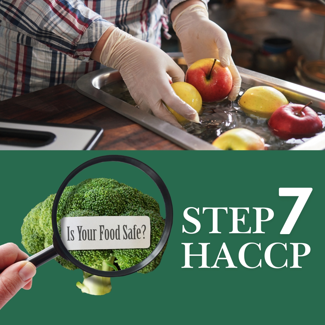 HACCP Step 7: Recordkeeping – Building the Paper Trail of Food Safety